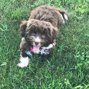 Meet your Posher, Whitney